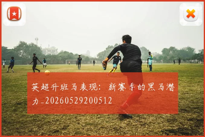 英超升班马表现:新赛季的黑马潜力_20260529200512