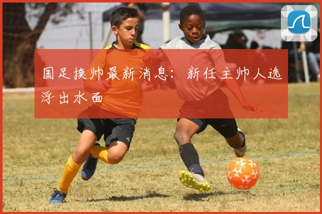 国足换帅最新消息：新任主帅人选浮出水面