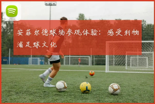 安菲尔德球场参观体验：感受利物浦足球文化